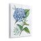 Stupell Industries English Manor Hydrangea Wall Plaque Art Design by Levison Design